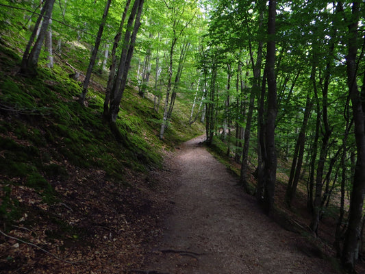 From Flight Paths to Footpaths: Finding Grounding and Stability in Everyday Routines