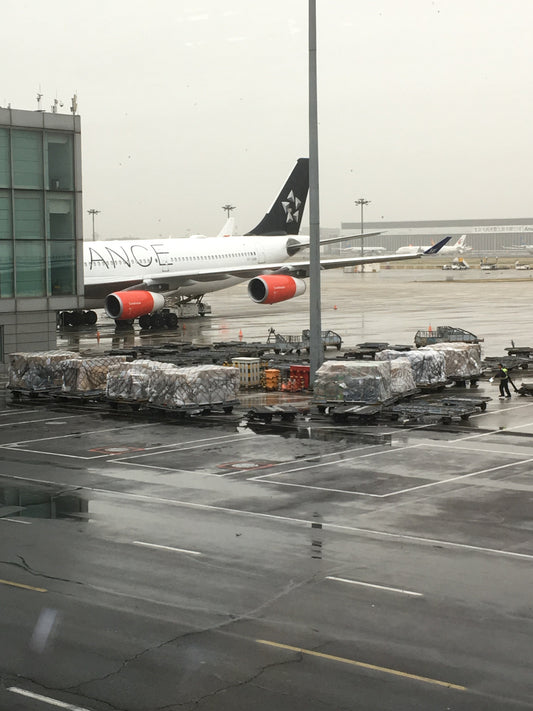 Missing Flights and Canceled Meetings: Managing Corporate Anxiety Productively