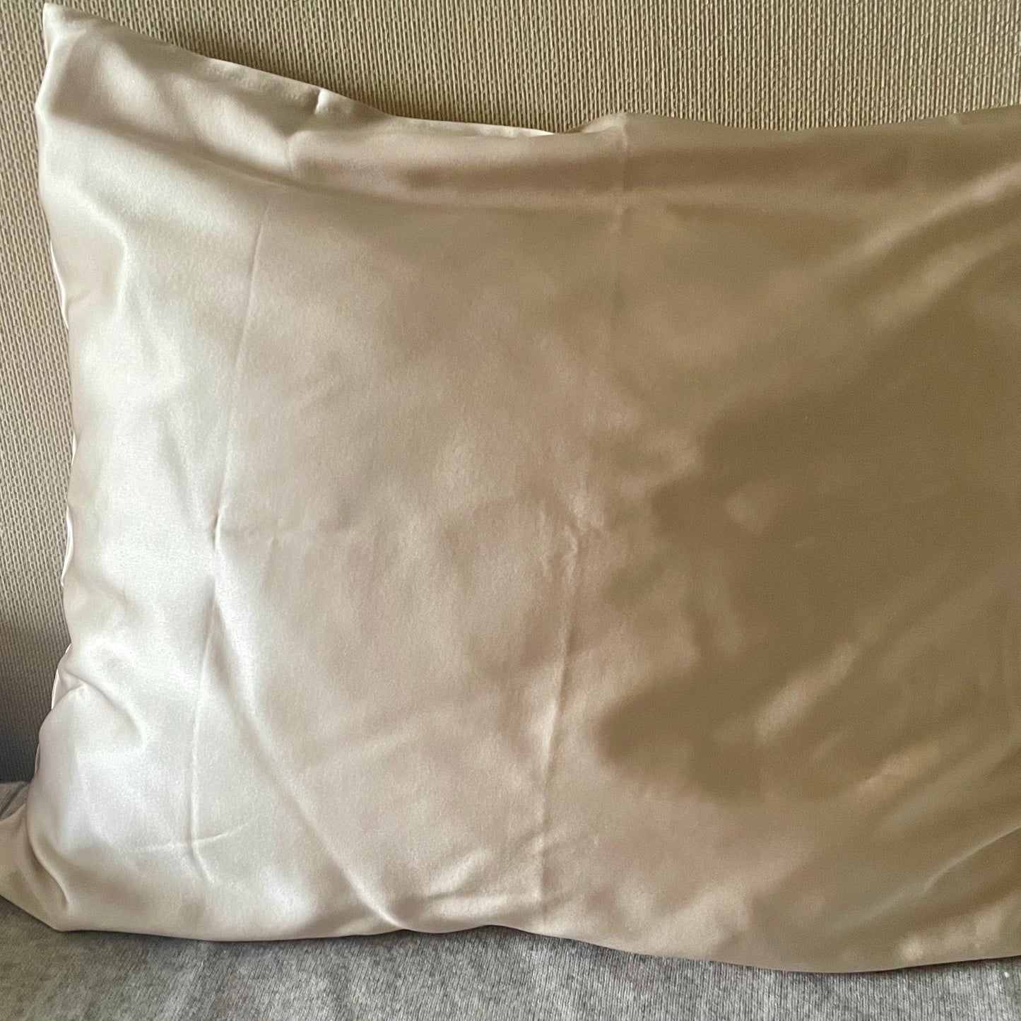 100% 22 momme mulberry silk pillowcase,champagne color